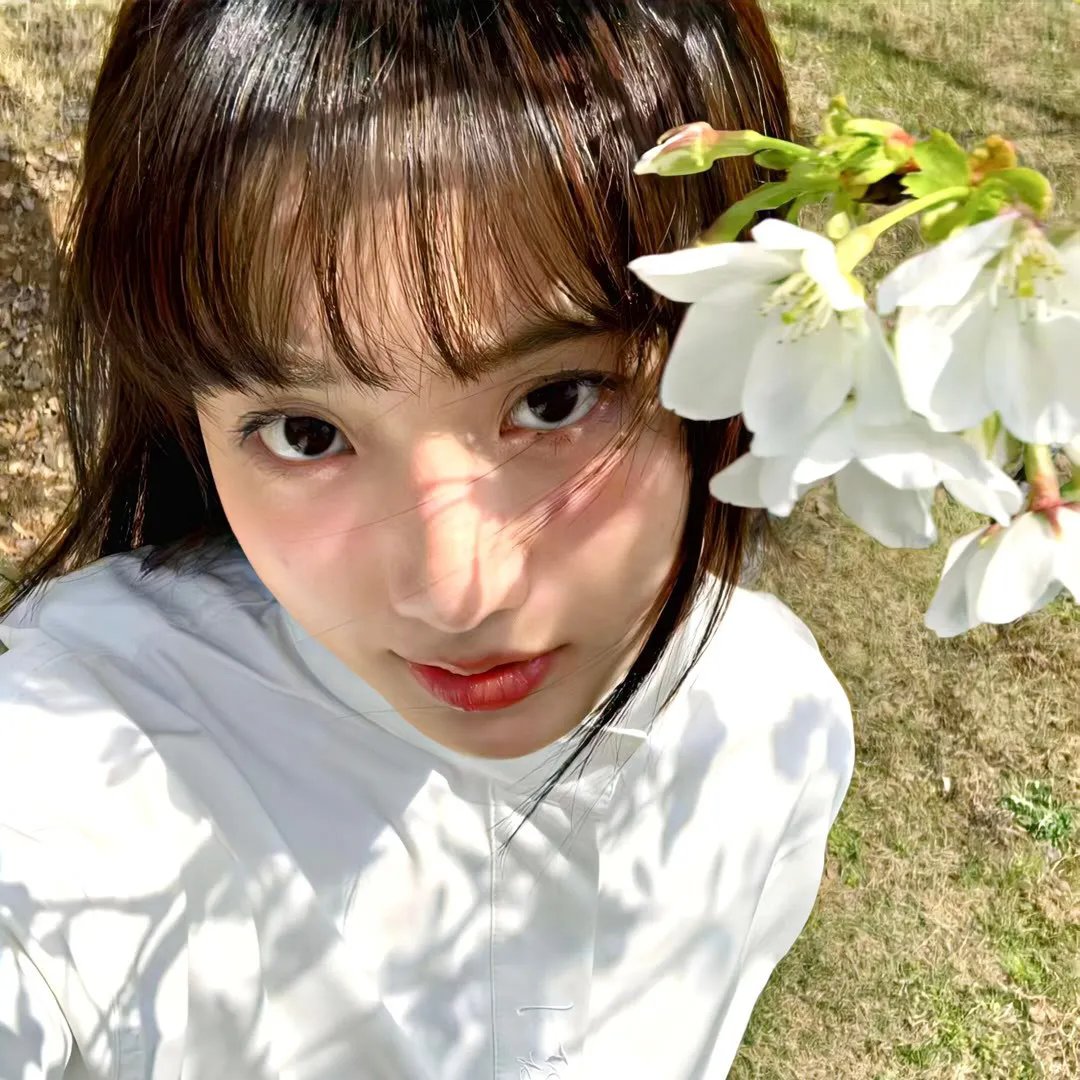 刀剑神域 爱丽丝篇 异界战争